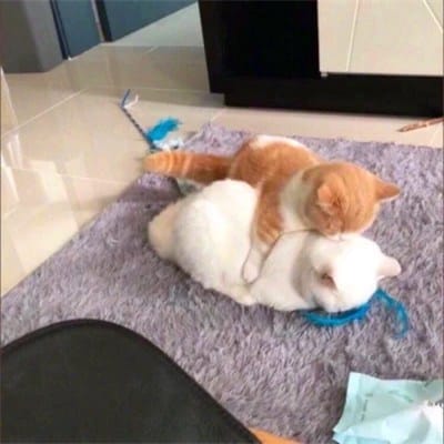 Sharon Cuneta avatar